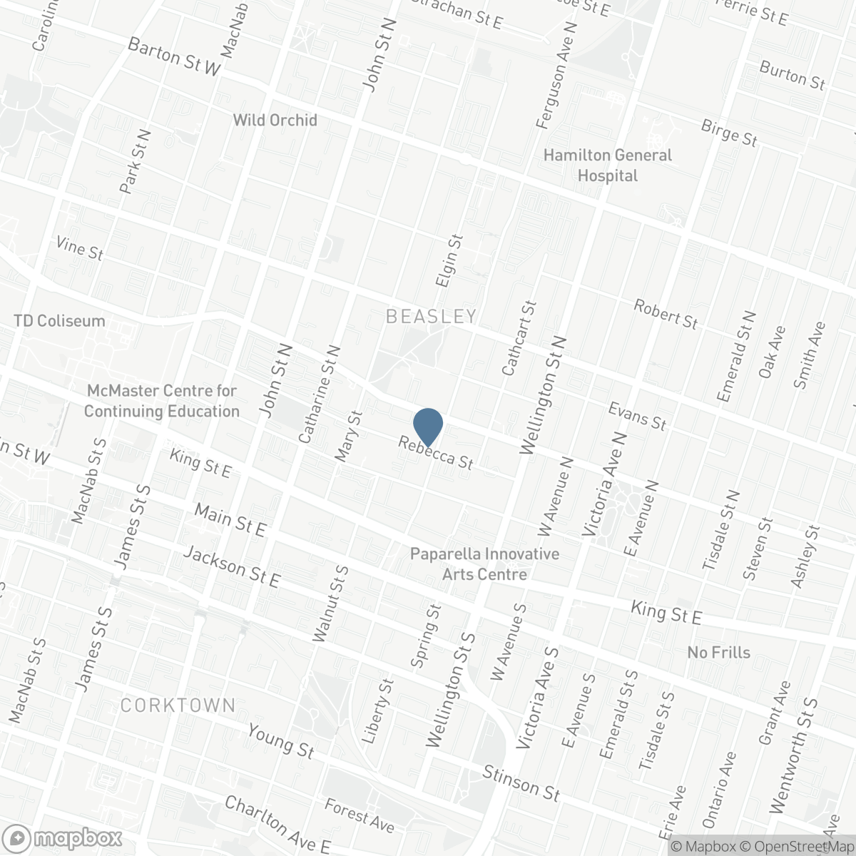 167-177 WILSON Street, Hamilton, Ontario L8R 1E3